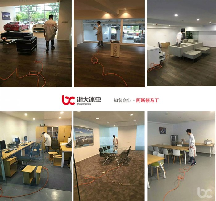 阿斯顿马丁除甲醛