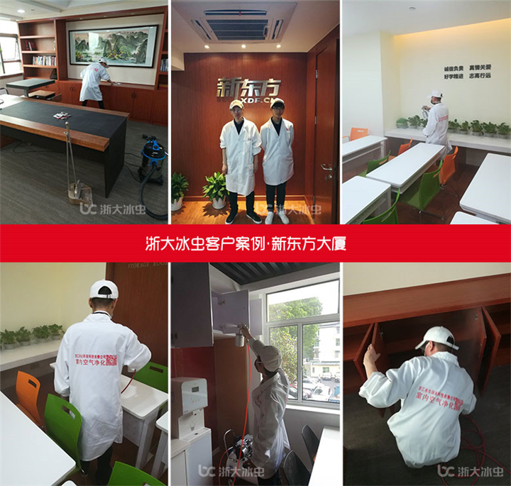 新东方除甲醛