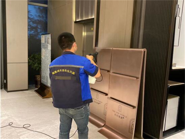 襄阳灭鼠公司