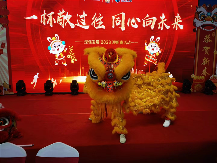 石家庄传统舞狮醒狮表演公司