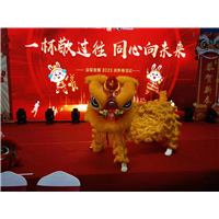 石家庄传统舞狮醒狮表演公司