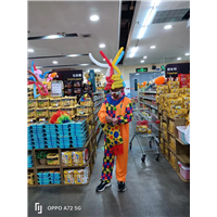 邢台信都区小丑魔术气球派发演出公司