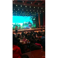 保定礼仪模特_保定T台模特_保定舞台搭建 