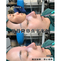 上海美之星8
