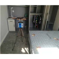 乌鲁木齐甲醛清除