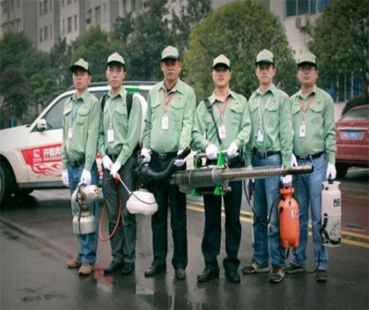 周口灭跳蚤
