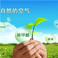 金色雨林甲醛治理 