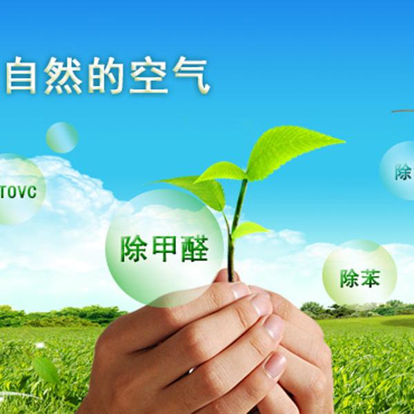 青云瑞景园甲醛检测 