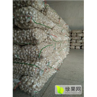 邳州大蒜走过路过不要错过