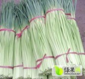 江苏徐州邳州净蒜代收：出口，诚信代收代加工 
