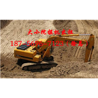 合肥挖掘机出租 