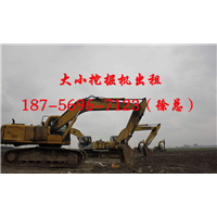 六安挖掘机出租 