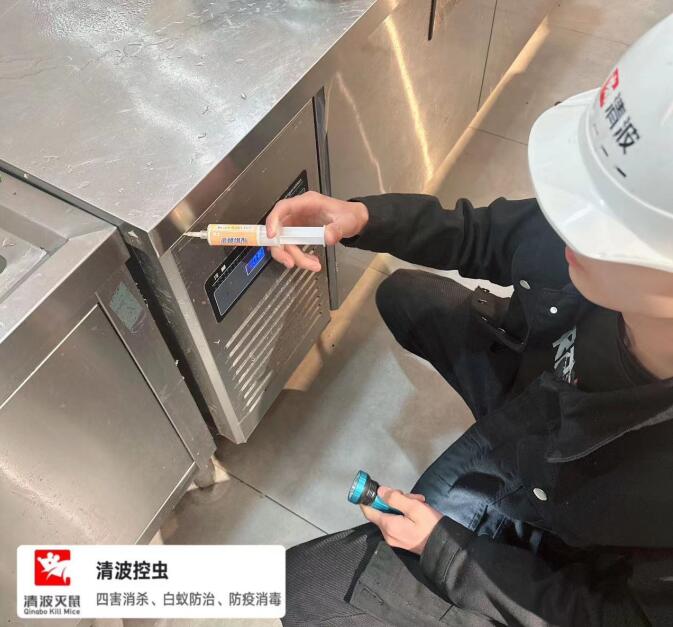 江阴除虫公司