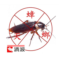 江阴灭蟑螂公司