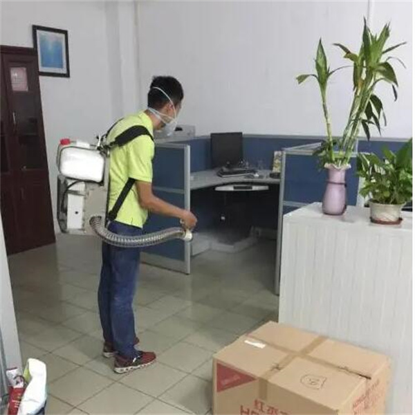 泸州灭老鼠公司