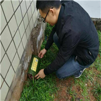 泸州灭鼠多少钱
