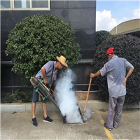 泸州灭鼠电话