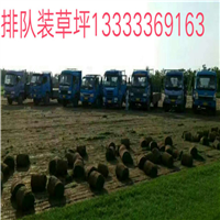 淄博草坪|淄博绿化草坪卷 