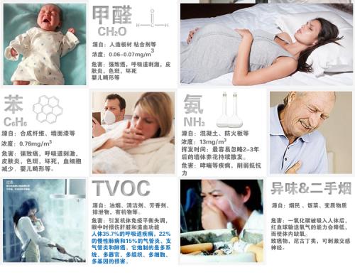 聊城**除甲醛