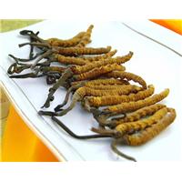 重庆回收茅台