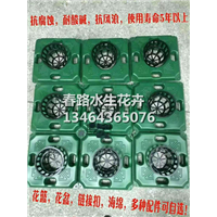 浮岛材料_东北水生植物_辽宁水生花卉