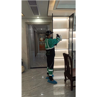 沧州除甲醛公司