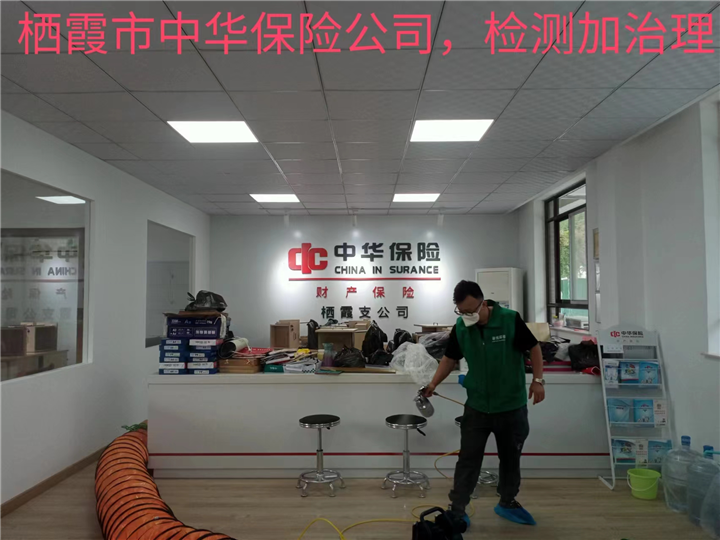 烟台栖霞市中华保险公司检测加治理