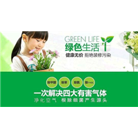 乌鲁木齐新房除甲醛