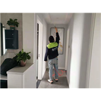 合肥除甲醛电话