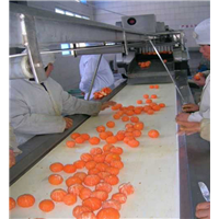 PU食品输送带订制