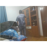 阜阳除甲醛公司