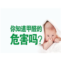 中山除甲醛公司 除甲醛电话 