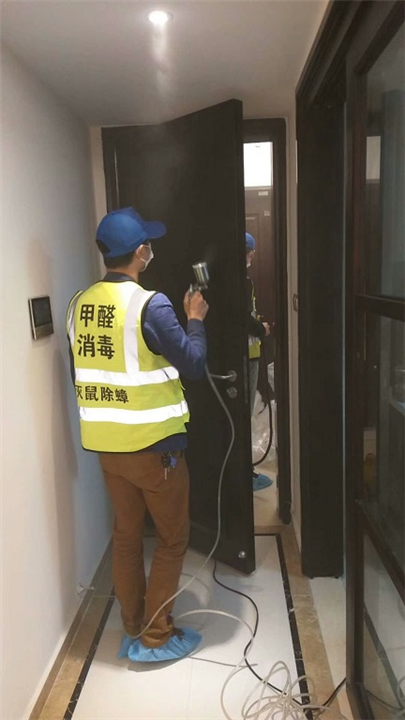 我们如何减少四害对我们的侵害-广州灭鼠 