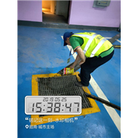 广州灭蚊蝇