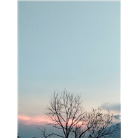 东江湖近期风景