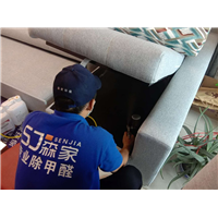时代南湾甲醛治理