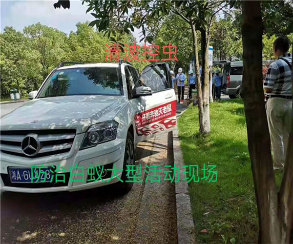 德清灭鼠 