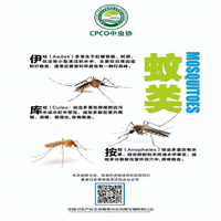 济南消杀公司日常流程