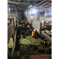 广西钦州港恒源养殖场