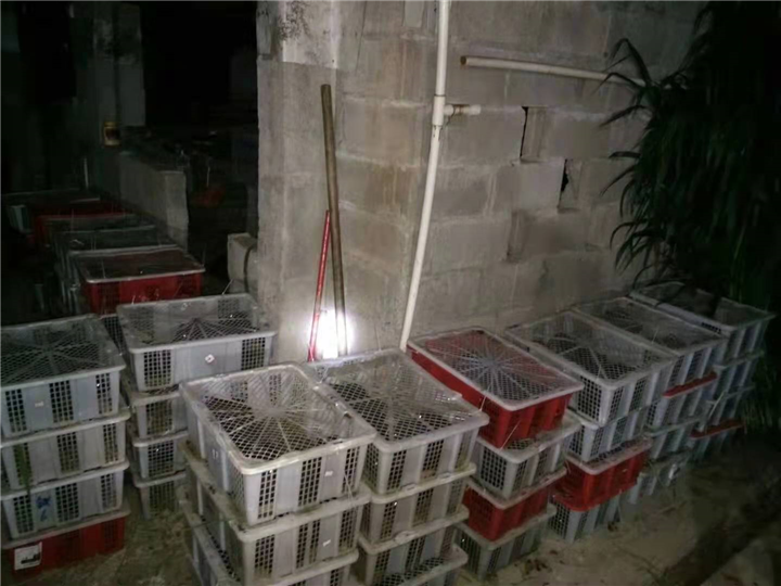 广西钦州港恒源养殖场12
