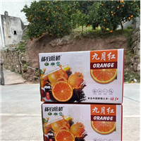 湖北中华红橙代办秭归脐橙果园宜昌脐橙批发