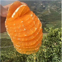 秭归伦晚批发