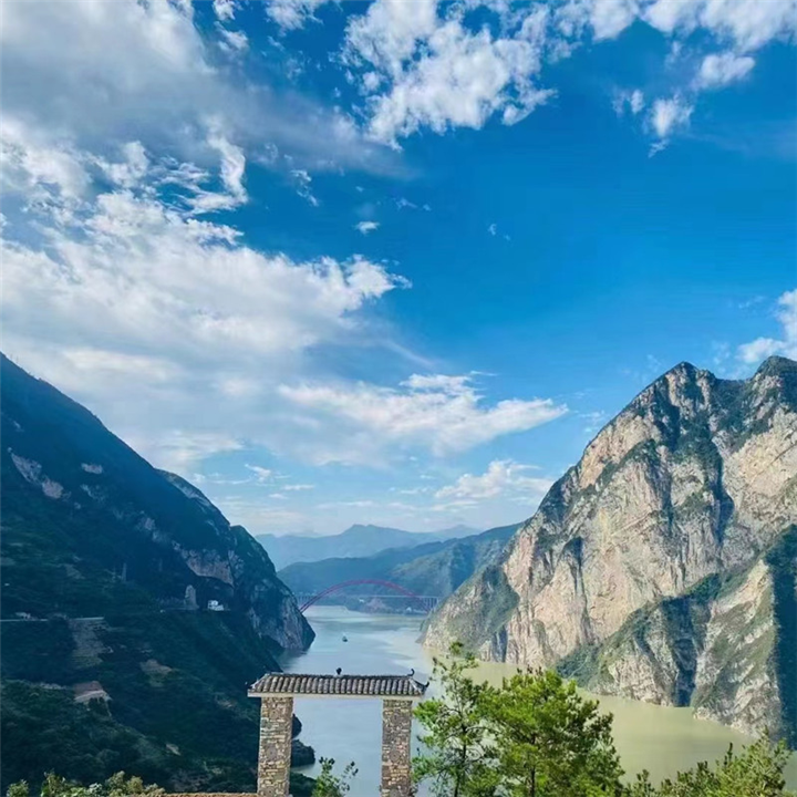 湖北橙子代办湖北脐橙批发秭归脐橙代办
