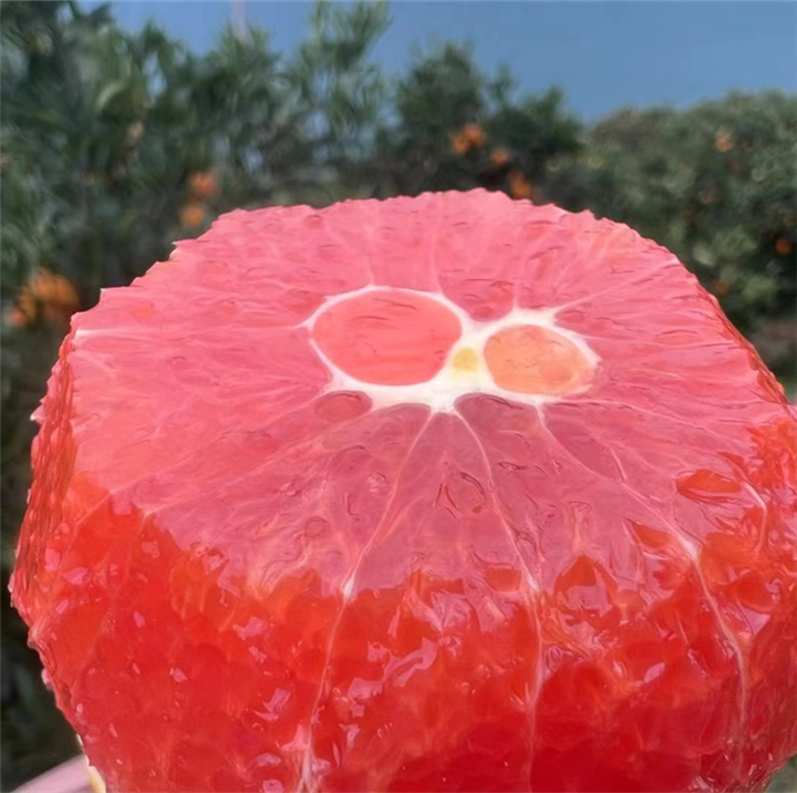 湖北脐橙代办秭归中华红橙代办秭归脐橙批发