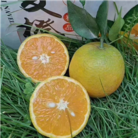秭归夏橙湖北夏橙批发湖北夏橙几月上市