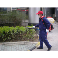 广州白蚁防治公司杀虫灭鼠服务 