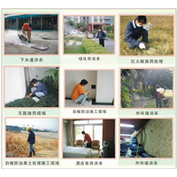 广州家庭白蚁防治与处理方法 