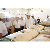 省粮食和物资储备局来库调研指导夏粮收购工作