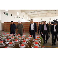 市委**调研粮食工作