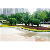 绿雕大象 